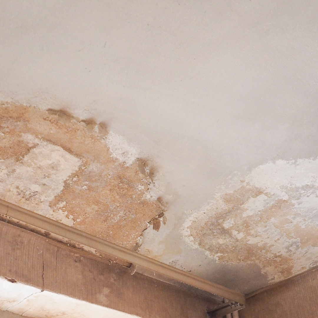 Hoe vermijd je verborgen gebreken bij de aankoop van een woning?